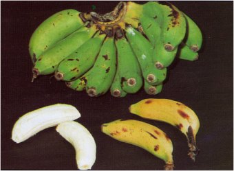 Manzano_banana.jpg